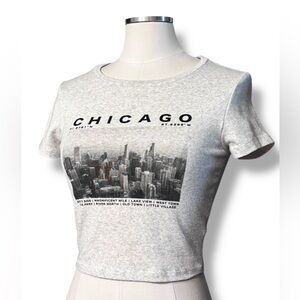 GARAGE Stormi Tee Art Chicago Graphic in Spring Gray